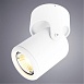 Спот Arte Lamp LIBRA A3316PL-1WH - фото