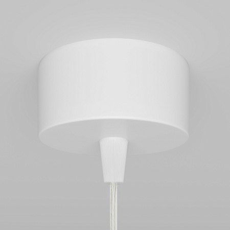 Подвесной светильник Technical Focus P075PL-01W - фото