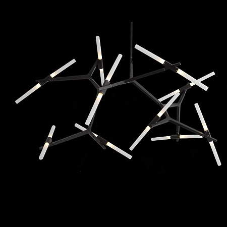 Люстра потолочная ST-Luce Черный/Белый G9 20*5W SL947.402.20 - фото