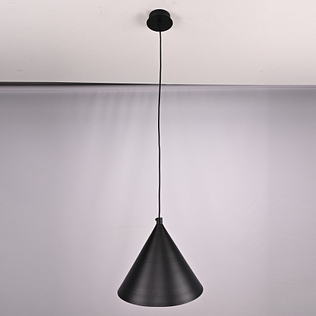 Подвесной Светильник Roundew D29 Black Imperiumloft 302464-26 - фото