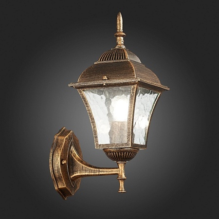 Светильник уличный настенный ST-Luce Бронза/Бронза, Прозрачный E27 1*60W SL082.201.01 - фото