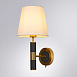  ARTE LAMP A5066AP-1BK - фото