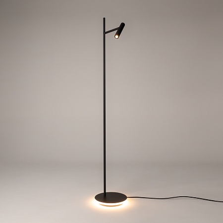 Напольный светильник (торшер) Maytoni Estudo Z010FL-L8B3K - фото