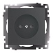 Розетка 1-местная с защитной шторкой (механизм) б/з, 250В, 10А, серия Катрин, графит, GLS10-7109-06 - фото