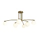Потолочный светильник Freya Hanger FR5443CL-06BS - фото