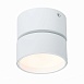 Светильник потолочный поворотный Белый LED 1*9W 3000K 720Lm Ra>90 120° IP20 D85xH87 170 ST651.532.09 - фото