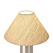 Настольный светильник Freya FR5632TL-01N - фото