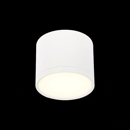 Светильник потолочный Белый LED 1*9W 3000K 702Lm Ra>90 120° IP20 D88xH75 170-240V ST113.532.09 - фото