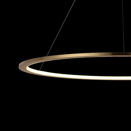 10014XL Подвесной светильник LOFT IT Ring - фото