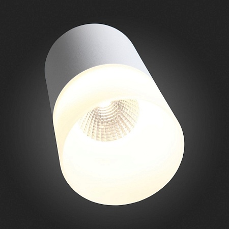 Светильник потолочный Белый LED 1*5W 3000K 390Lm Ra>80 120° D64xH110 170-240V ST100.502.05 - фото