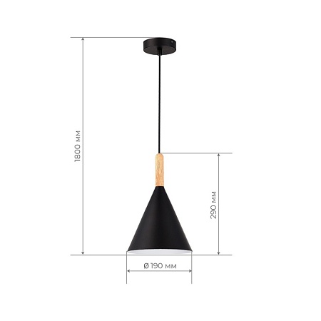 Светильник подвесной Черный/Черный E27 1*40W SLE1255-403-01 - фото