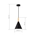 Светильник подвесной Черный/Черный E27 1*40W SLE1255-403-01 - фото