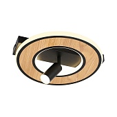 Потолочный светильник F-Promo 4438-1C