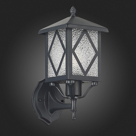 Светильник уличный настенный ST-Luce Черный/Черный, Прозрачный E27 1*60W SL084.401.01 - фото