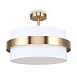 Потолочный светильник Freya Bride FR5367CL-03BS - фото
