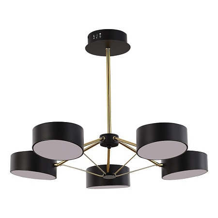 Светильник потолочный Черный, Золотистый/Черный LED 5*10W SLE6005-402-05 - фото