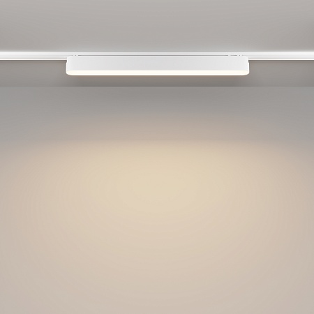 Трековый светильник Technical BASIS TR080-1-18W3K-W - фото