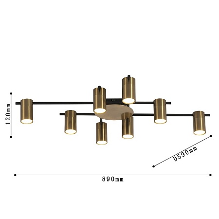 Потолочная люстра Favourite 2827-8P - фото