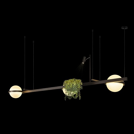 10121/C Dark grey Подвесной светильник LOFT IT Jardin - фото