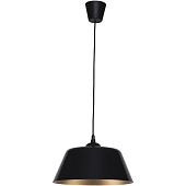 Подвесной акцентный светильник TK Lighting 1705