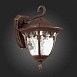 Светильник уличный настенный ST-Luce Кофейный/Кофейный, Прозрачный E27 1*60W SL083.701.01 - фото