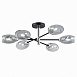 Светильник потолочный Черный, Хром/Дымчатый E14 6*40W SLE155512-06 - фото