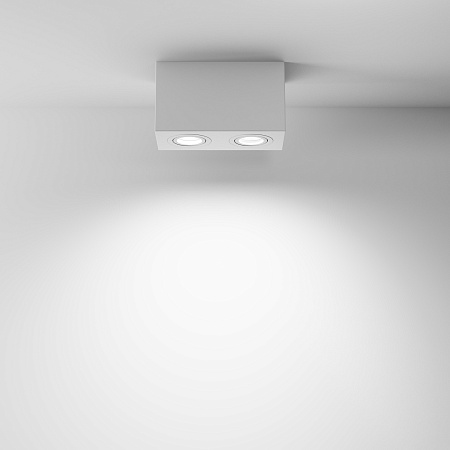 Потолочный светильник Technical Atom C017CL-02W - фото