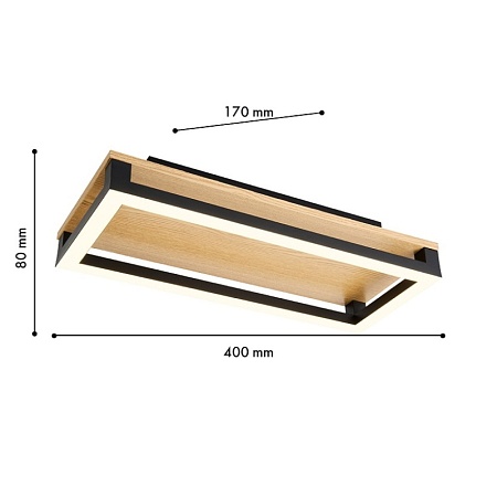 Потолочный светильник F-Promo 4434-1C - фото