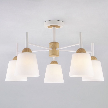 Потолочный светильник Eurosvet 70085/5 белый - фото