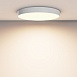 Потолочный светильник Technical Zon C032CL-90W3K-RD-W - фото
