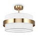Потолочный светильник Freya Bride FR5367CL-03BS - фото