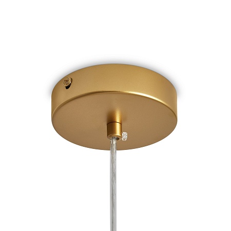 Подвесной светильник Freya FR5528PL-01BS - фото