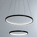Подвесная люстра Arte Lamp FRODO A2197SP-2BK - фото