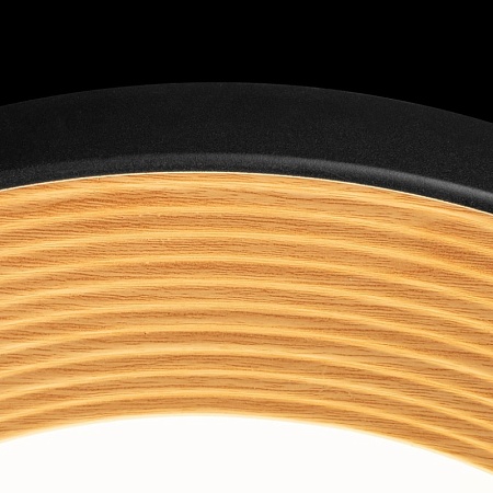 10255/500 Black Потолочный светильник LOFT IT Folk - фото