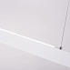 Подвесной светильник Arte Lamp LARGO A2505SP-2WH - фото