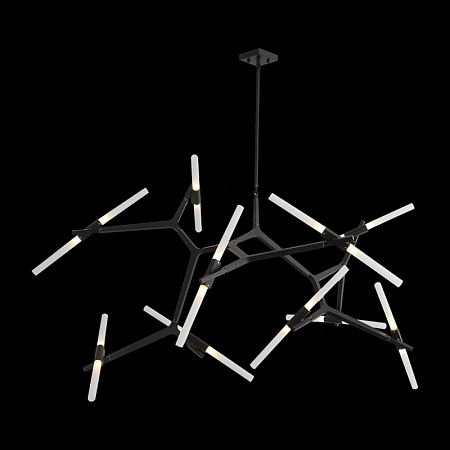 Люстра потолочная ST-Luce Черный/Белый G9 20*5W SL947.402.20 - фото