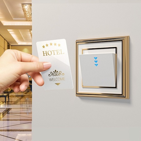 Электронный карточный выключатель белый W1153101 - фото