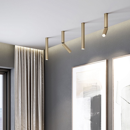 Накладной поворотный светодиодный светильник Pika 25029/LED 6W 4200K латунь Elektrostandard - фото