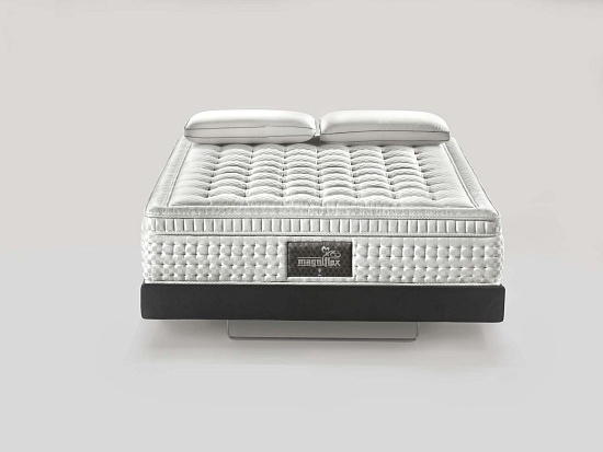 Матрас Magniflex Maestro Dual 14 фото