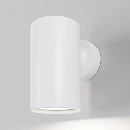 Настенный светильник (бра) Outdoor O493WL-01W - фото