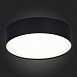 Светильник потолочный Черный LED 1*27W 4000K 2 430Lm Ra>90 120° IP20 D220xH55 185-265V ST606.442.27 - фото