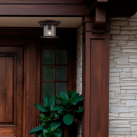 Светильник уличный потолочный ST-Luce Темный кофе/Прозрачный, Темный кофе E27 1*60W SL080.402.01 - фото