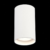 Светильник потолочный Белый LED 1*20W 4000K 1 600Lm Ra&gt;90 60° IP44 D95xH150 220-265V ST157.542.20