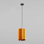 Подвесной акцентный светильник TK Lighting 6120