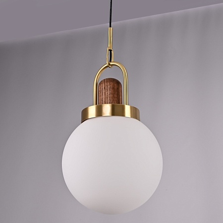 Подвесной Светильник Arc Globe Шар D20 Imperiumloft 191841-26 - фото