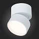 Светильник потолочный поворотный Белый LED 1*9W 3000K 720Lm Ra>90 120° IP20 D85xH87 170 ST651.532.09 - фото