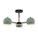 Потолочный светильник Freya Trisha FR5032CL-03B - фото