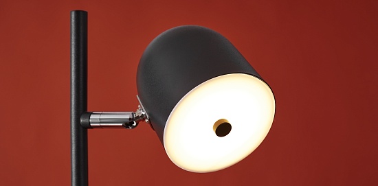 Напольный светильник (торшер) Freya FR5279FL-L7B - фото