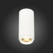 Светильник потолочный Zoom Белый LED 1*10W 3000K 1 000Lm Ra>80 15-60° IP20 D59xH130 170 ST600.532.10 - фото