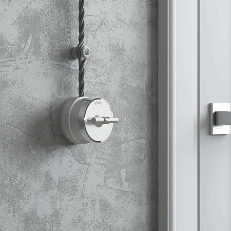 Переключатель/выключатель одноклавишный Vintage серебро матовый/хром W5812054 - фото